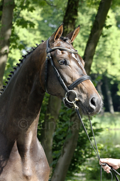 Evora © Lune Jancke